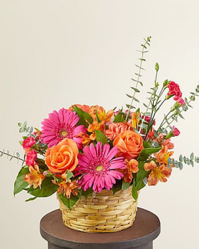 <h5>Celebrate spring with our Sweet Treat Bouquet that arrives in an adorable basket ready for the spotlight. Designed with hot pink gerbera daisies and mini carnations to brighten any room, occasion or event, it's the sweetest treat you could send to a loved one.</h5>